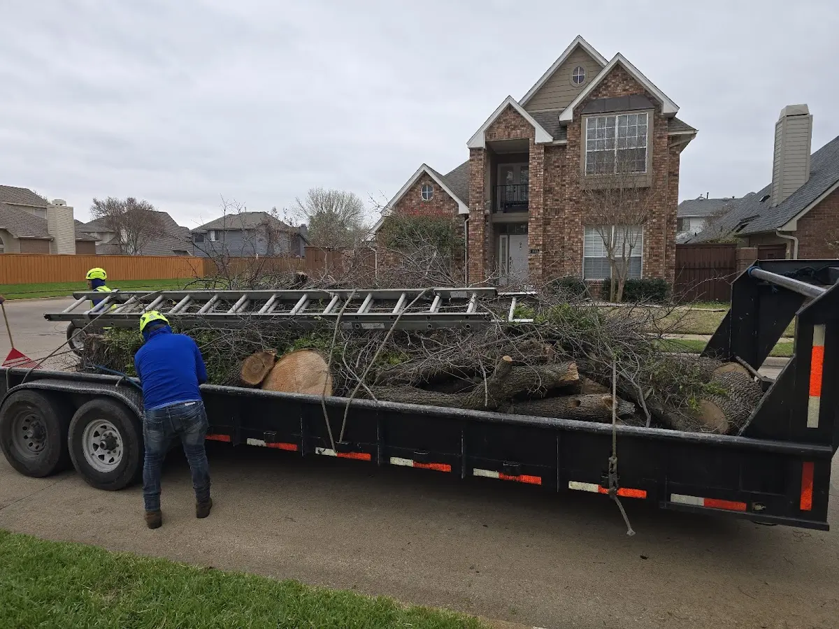 Expert Tree Pest Control with proper safety equipment in Olivet